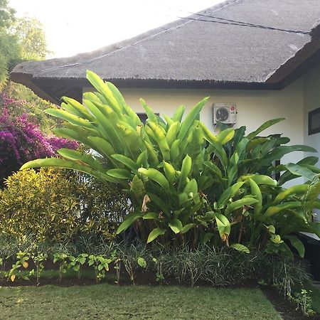 Villa Danison Umeanyar Dış mekan fotoğraf